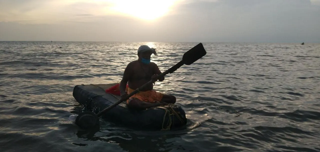 Marari Sea Scape House Bed and Breakfast Mararikulam India